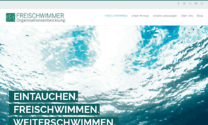 Freischwimmer-organisationsentwicklung.de thumbnail