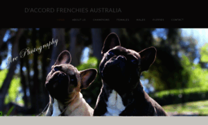 French-bulldog.com thumbnail