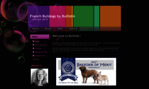 Frenchbulldogs.org thumbnail