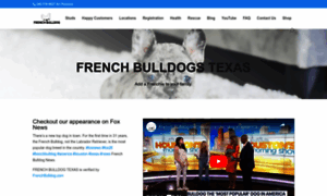 Frenchbulldogtexas.com thumbnail