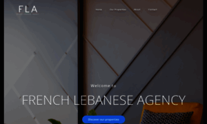 Frenchlebaneseagency.com thumbnail