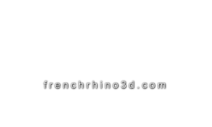 Frenchrhino3d.com thumbnail