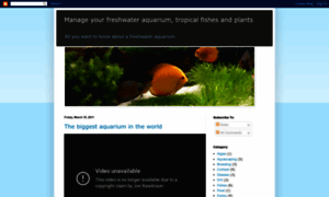 Freshwater-aquarium-passion.blogspot.com thumbnail