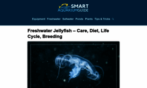 Freshwaterjellyfish.org thumbnail