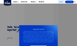 Friso.com.sg thumbnail