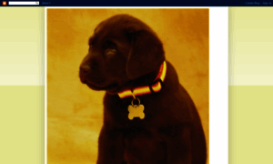 Frompuppytopublicaccess.blogspot.com thumbnail