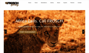 Froschafrica.com thumbnail