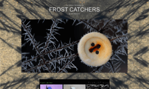 Frostcatcher.com thumbnail