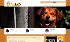 Fryda.org.mx thumbnail