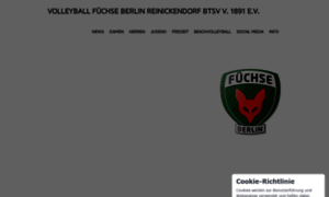 Fuechse-berlin-volleyball.de thumbnail