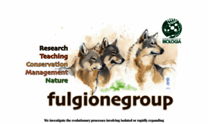 Fulgionegroup.com thumbnail