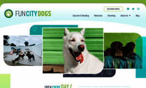Funcitydogs.com thumbnail