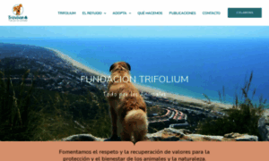 Fundaciontrifolium.org thumbnail