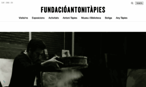 Fundaciotapies.com thumbnail