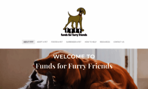 Fundsfurfriends.com thumbnail