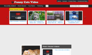 Funny-cats-video.com thumbnail