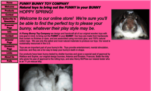 Funnybunnytoyco.com thumbnail