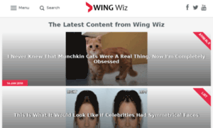 Funnygags.wingwiz.com thumbnail