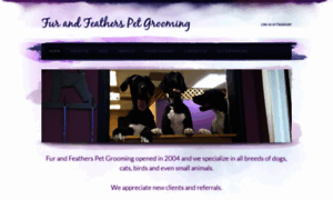 Furandfeatherspetgrooming.com thumbnail