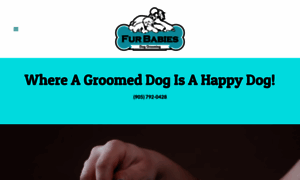 Furbabiesdoggrooming.com thumbnail