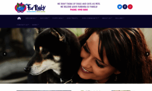 Furbaby.com.au thumbnail