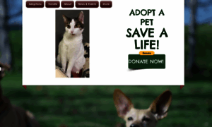 Furbabyrescue.org thumbnail