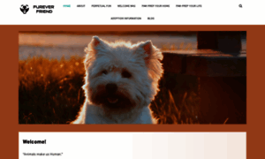 Fureverfriend.info thumbnail