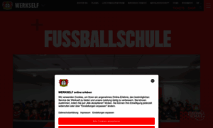 Fussballschule.bayer04.de thumbnail