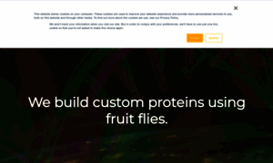 Futurefields.io thumbnail