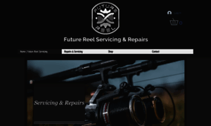 Futurereelservicing.co.uk thumbnail