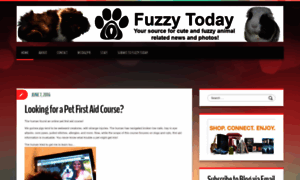 Fuzzytoday.com thumbnail