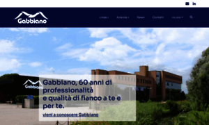 Gabbiano.it thumbnail