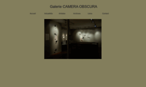 Galeriecameraobscura.fr thumbnail