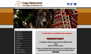 Galgo-moedestedet.com thumbnail