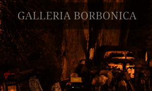 Galleriaborbonica.com thumbnail