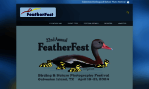 Galvestonfeatherfest.com thumbnail