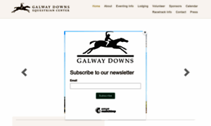 Galwaydowns.net thumbnail