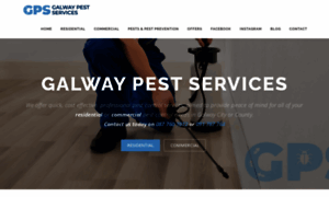 Galwaypestservices.ie thumbnail