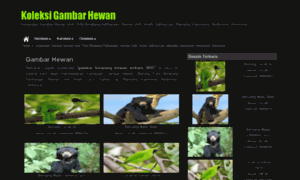 Gambarhewan.web.id thumbnail