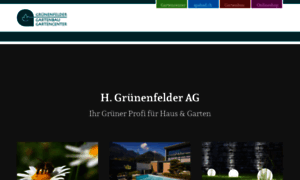 Garten-gruenenfelder.ch thumbnail