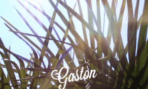 Gaston-gent.be thumbnail
