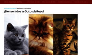 Gatosderaza.xyz thumbnail