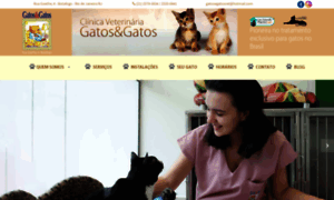 Gatosegatos.com.br thumbnail