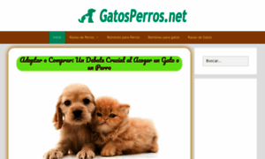 Gatosperros.net thumbnail