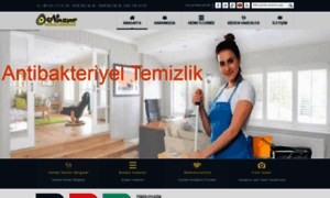 Gazianteptemizliksirketi.net thumbnail