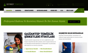 Gaziantepzeyneptemizlik.com thumbnail