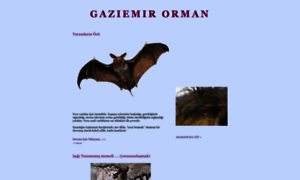 Gaziemir-orman.blogspot.com thumbnail