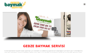 Gebzebaymakservisi.net thumbnail