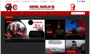 Genelsaglikis.org.tr thumbnail