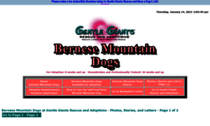 Gentlegiantsrescue-bernese-mountain-dogs.com thumbnail
